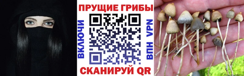 Псилоцибиновые грибы мухоморы Костомукша