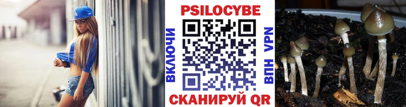 Галлюциногенные грибы прущие грибы Костомукша