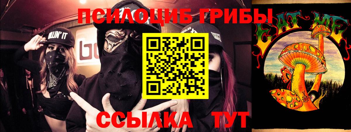 Псилоцибиновые грибы MAGIC MUSHROOMS Костомукша